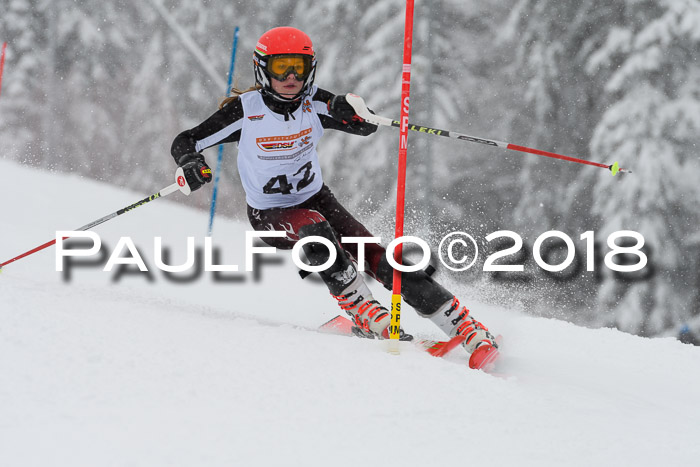DSV Dt. Schülercup U14 SL 20.01.2018