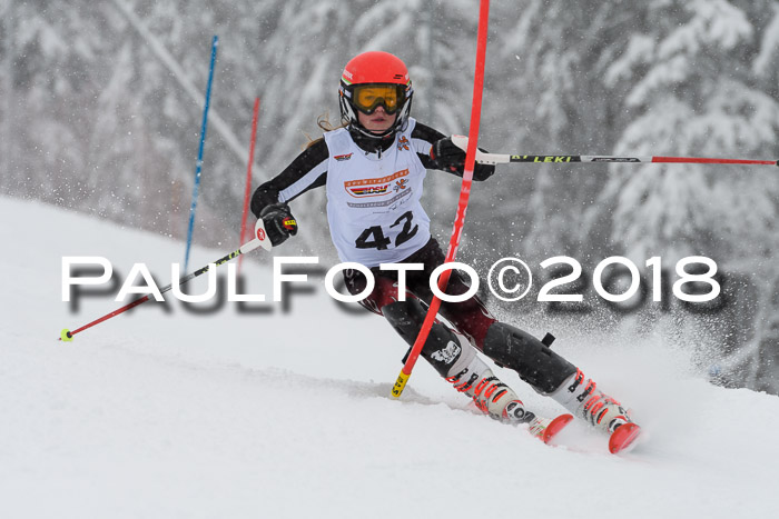 DSV Dt. Schülercup U14 SL 20.01.2018