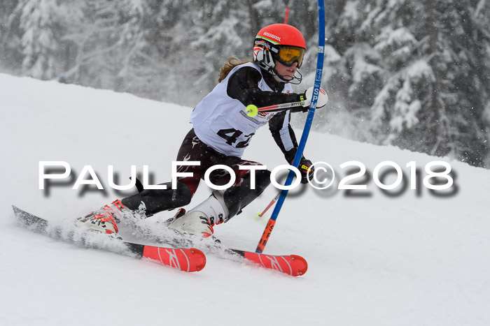DSV Dt. Schülercup U14 SL 20.01.2018