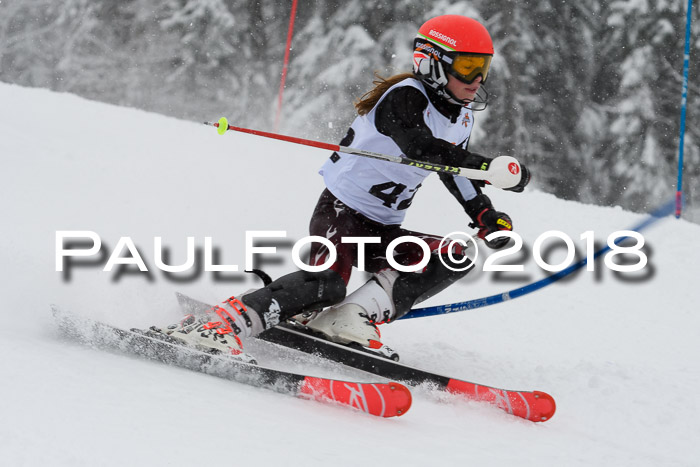 DSV Dt. Schülercup U14 SL 20.01.2018