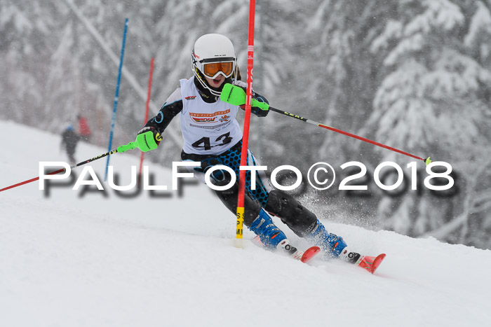 DSV Dt. Schülercup U14 SL 20.01.2018