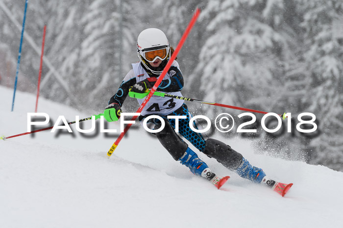 DSV Dt. Schülercup U14 SL 20.01.2018