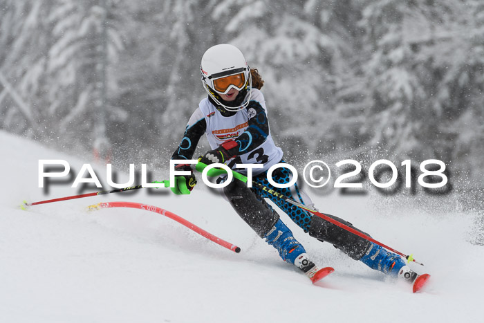 DSV Dt. Schülercup U14 SL 20.01.2018