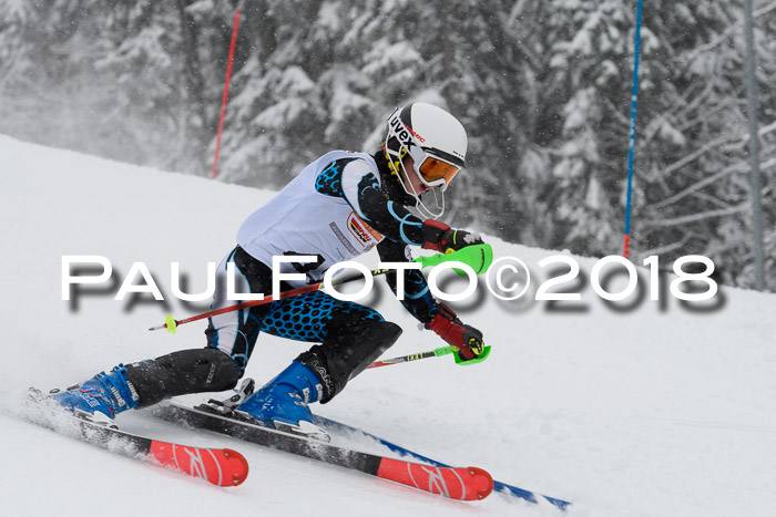 DSV Dt. Schülercup U14 SL 20.01.2018