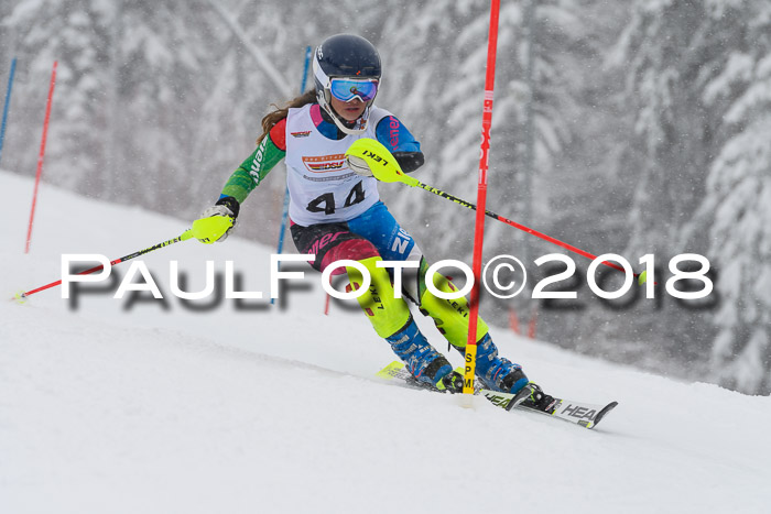 DSV Dt. Schülercup U14 SL 20.01.2018