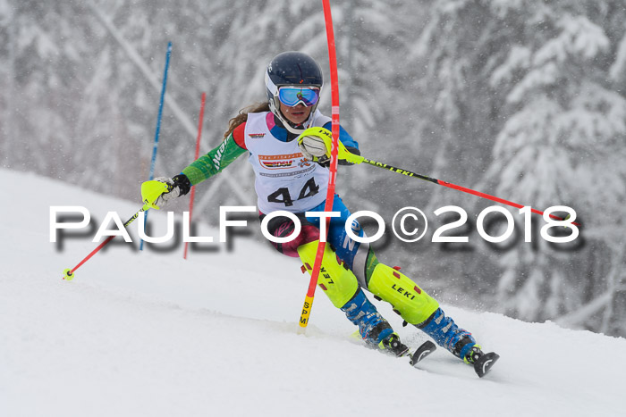 DSV Dt. Schülercup U14 SL 20.01.2018