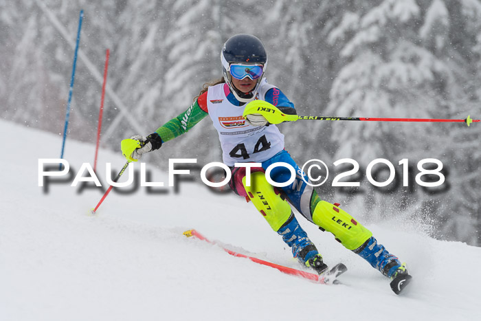 DSV Dt. Schülercup U14 SL 20.01.2018