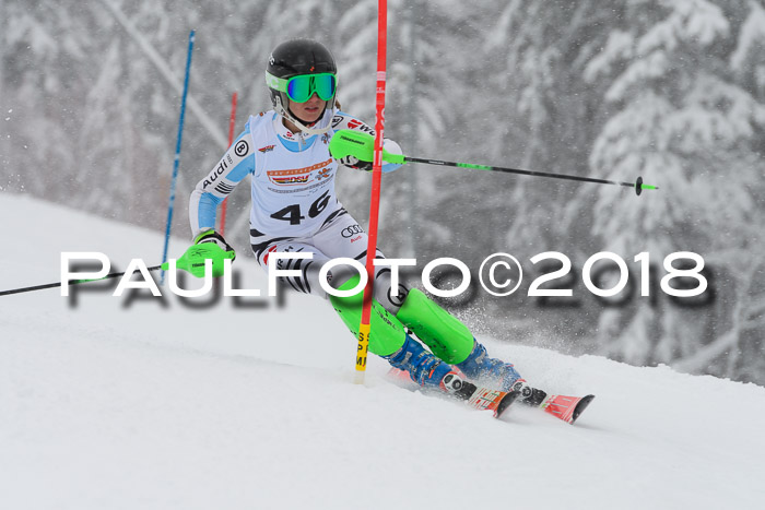 DSV Dt. Schülercup U14 SL 20.01.2018