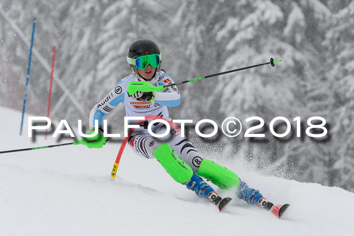 DSV Dt. Schülercup U14 SL 20.01.2018