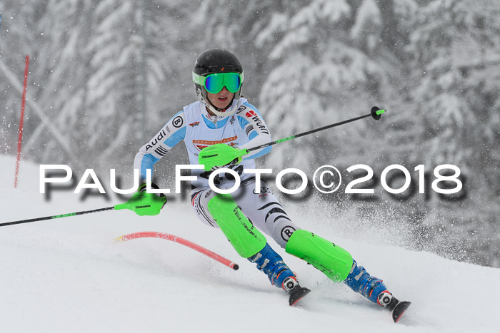 DSV Dt. Schülercup U14 SL 20.01.2018