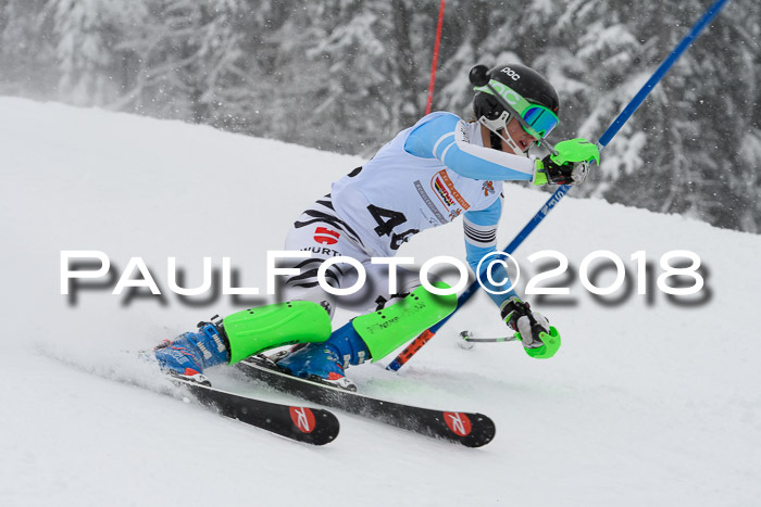 DSV Dt. Schülercup U14 SL 20.01.2018