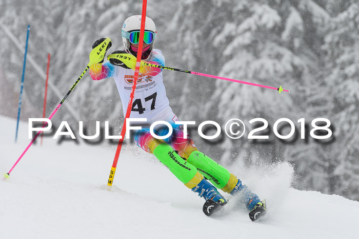 DSV Dt. Schülercup U14 SL 20.01.2018