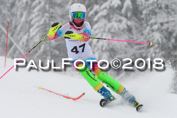 DSV Dt. Schülercup U14 SL 20.01.2018