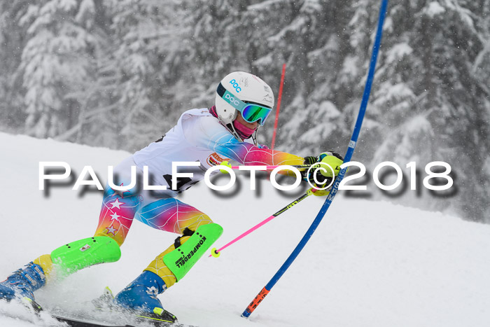 DSV Dt. Schülercup U14 SL 20.01.2018
