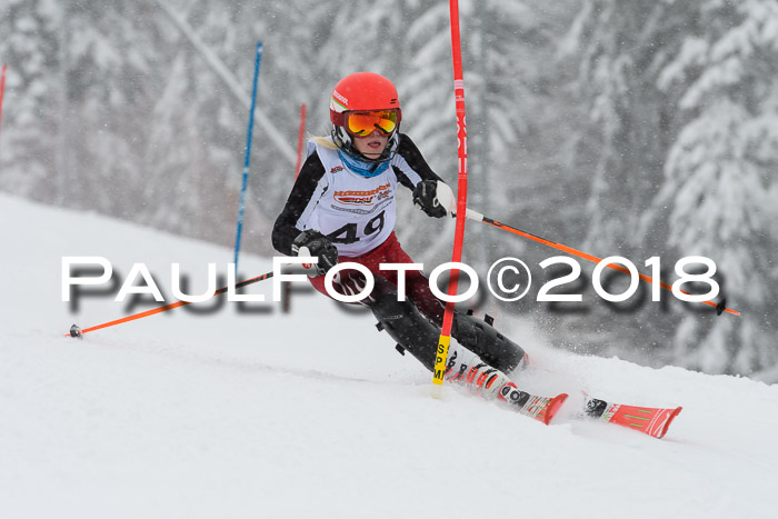 DSV Dt. Schülercup U14 SL 20.01.2018