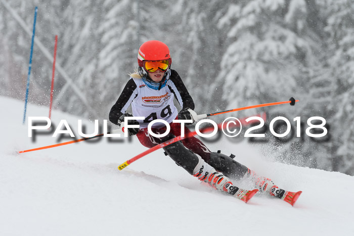DSV Dt. Schülercup U14 SL 20.01.2018