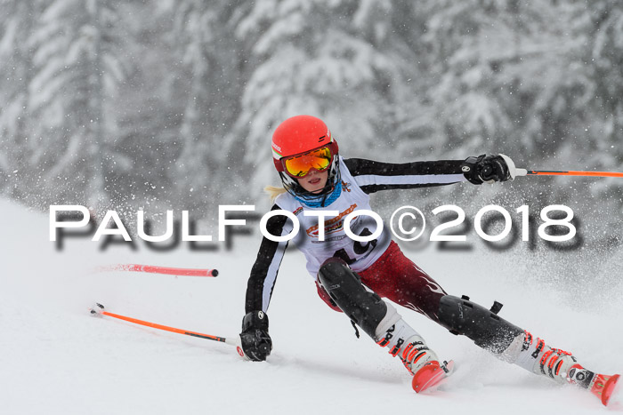 DSV Dt. Schülercup U14 SL 20.01.2018