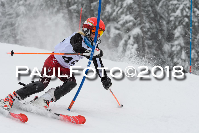 DSV Dt. Schülercup U14 SL 20.01.2018