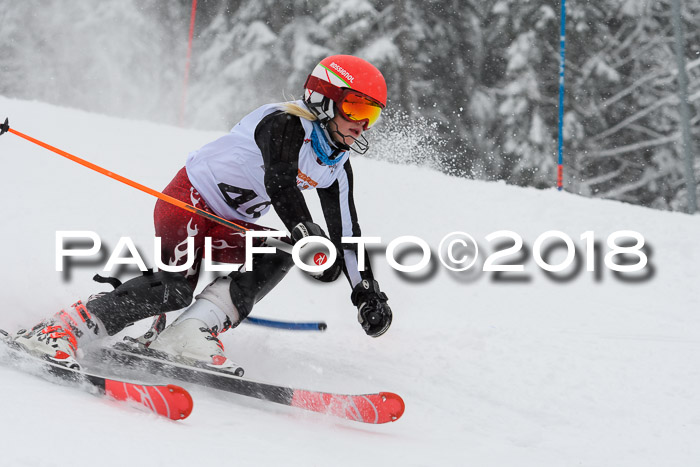 DSV Dt. Schülercup U14 SL 20.01.2018