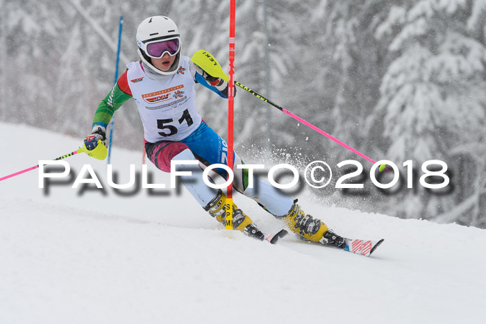 DSV Dt. Schülercup U14 SL 20.01.2018