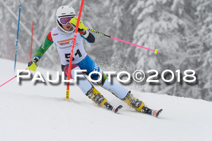 DSV Dt. Schülercup U14 SL 20.01.2018