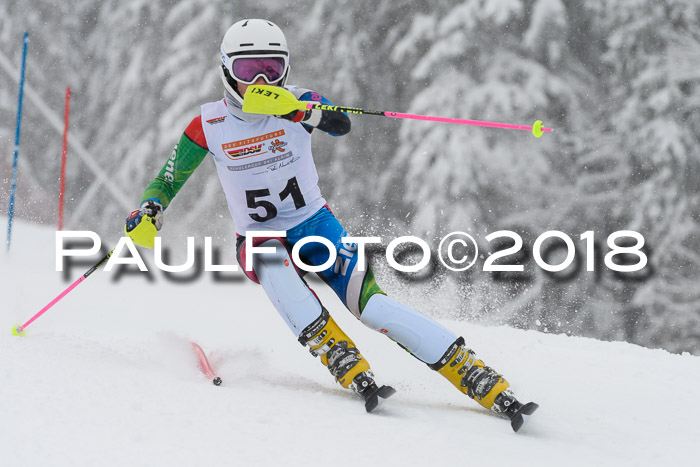DSV Dt. Schülercup U14 SL 20.01.2018