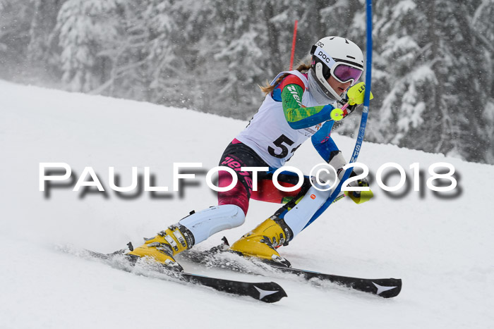DSV Dt. Schülercup U14 SL 20.01.2018