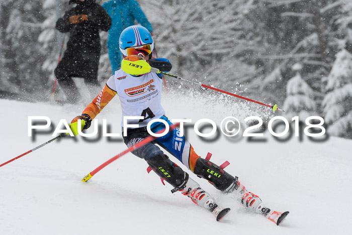DSV Dt. Schülercup U14 SL 20.01.2018
