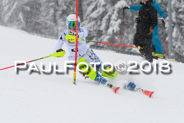 DSV Dt. Schülercup U14 SL 20.01.2018