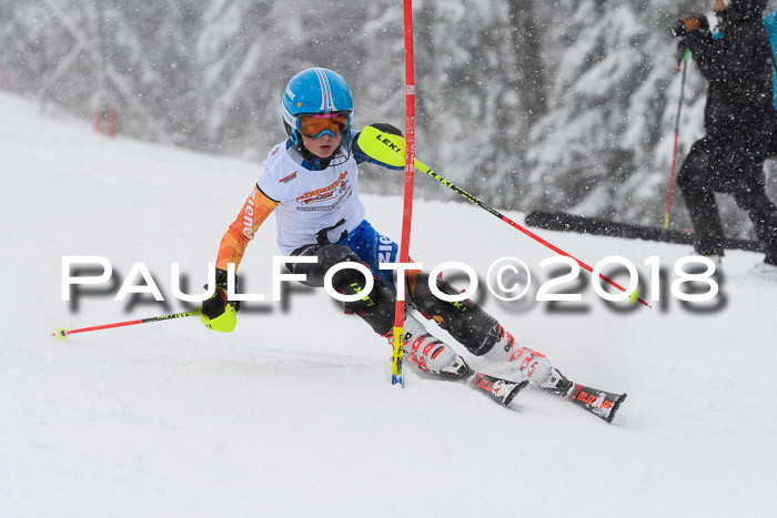 DSV Dt. Schülercup U14 SL 20.01.2018