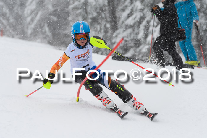 DSV Dt. Schülercup U14 SL 20.01.2018