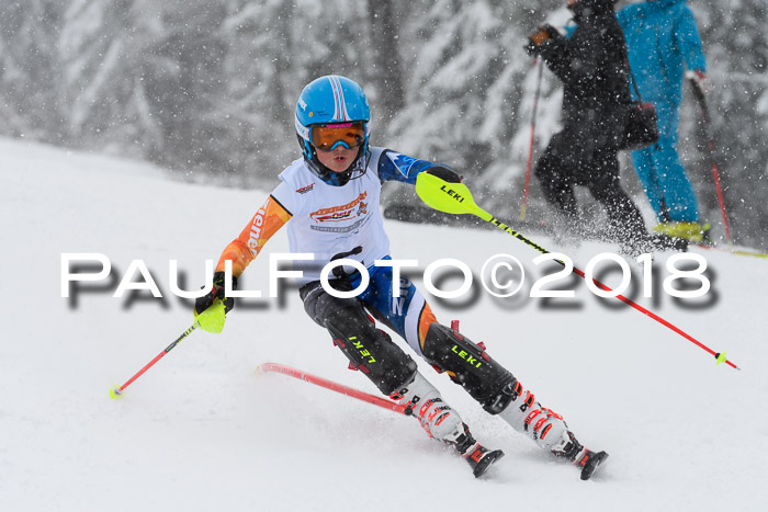 DSV Dt. Schülercup U14 SL 20.01.2018