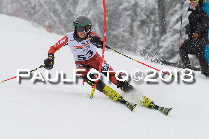 DSV Dt. Schülercup U14 SL 20.01.2018