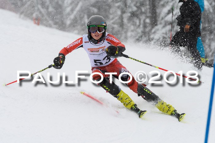 DSV Dt. Schülercup U14 SL 20.01.2018