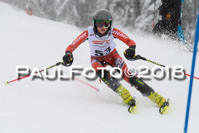DSV Dt. Schülercup U14 SL 20.01.2018