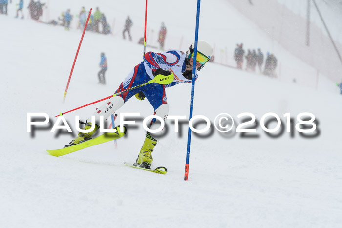 DSV Dt. Schülercup U14 SL 20.01.2018