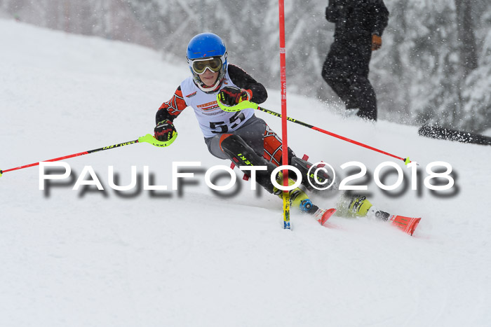 DSV Dt. Schülercup U14 SL 20.01.2018