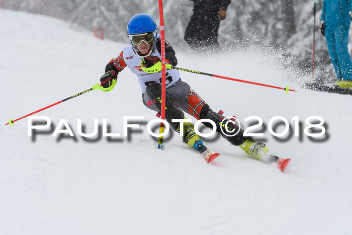 DSV Dt. Schülercup U14 SL 20.01.2018