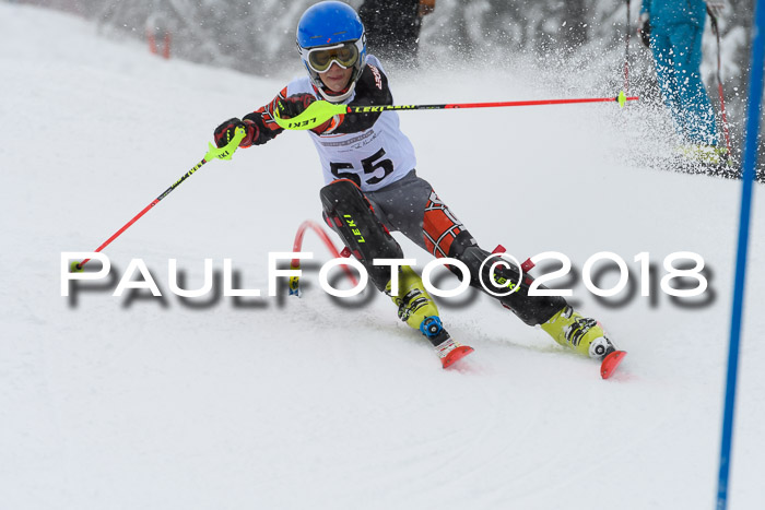 DSV Dt. Schülercup U14 SL 20.01.2018