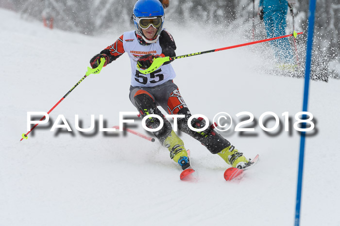 DSV Dt. Schülercup U14 SL 20.01.2018