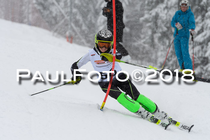 DSV Dt. Schülercup U14 SL 20.01.2018