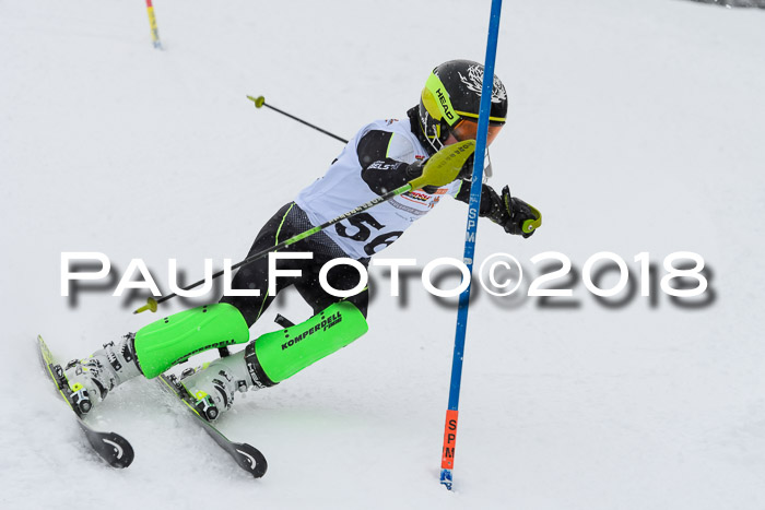 DSV Dt. Schülercup U14 SL 20.01.2018