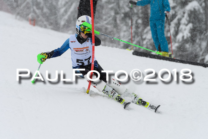 DSV Dt. Schülercup U14 SL 20.01.2018