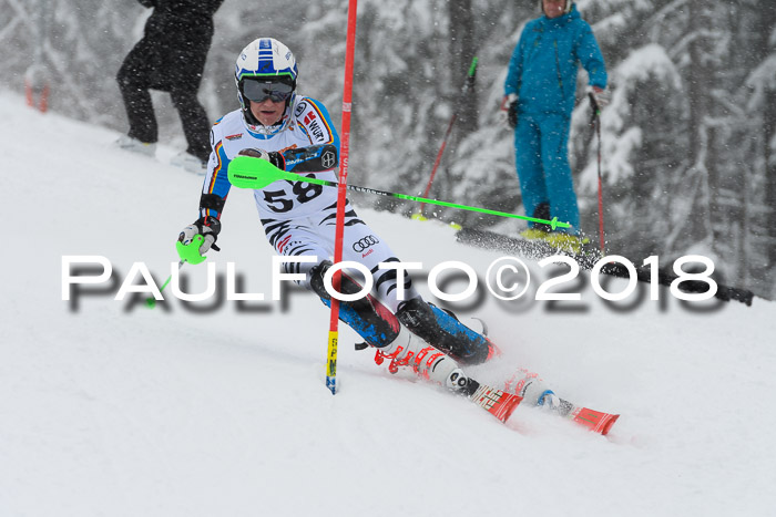 DSV Dt. Schülercup U14 SL 20.01.2018