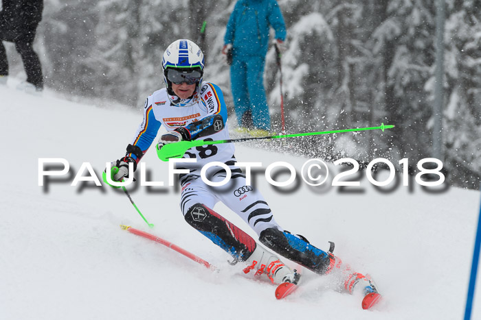 DSV Dt. Schülercup U14 SL 20.01.2018