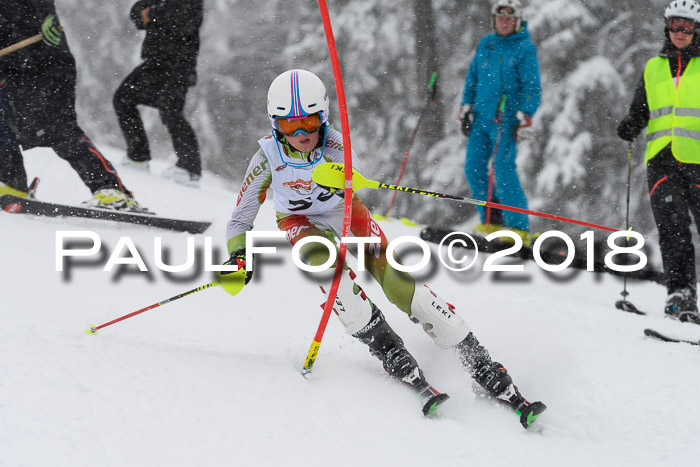 DSV Dt. Schülercup U14 SL 20.01.2018