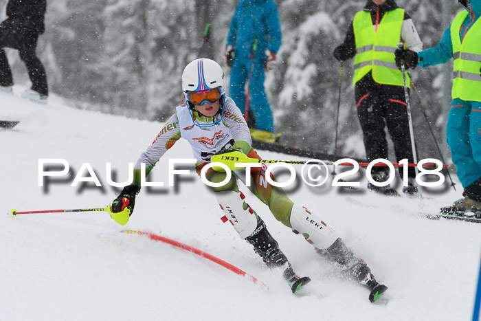 DSV Dt. Schülercup U14 SL 20.01.2018
