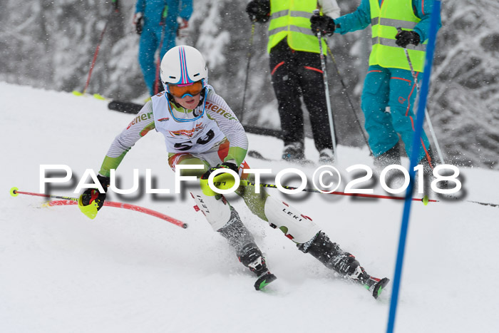 DSV Dt. Schülercup U14 SL 20.01.2018