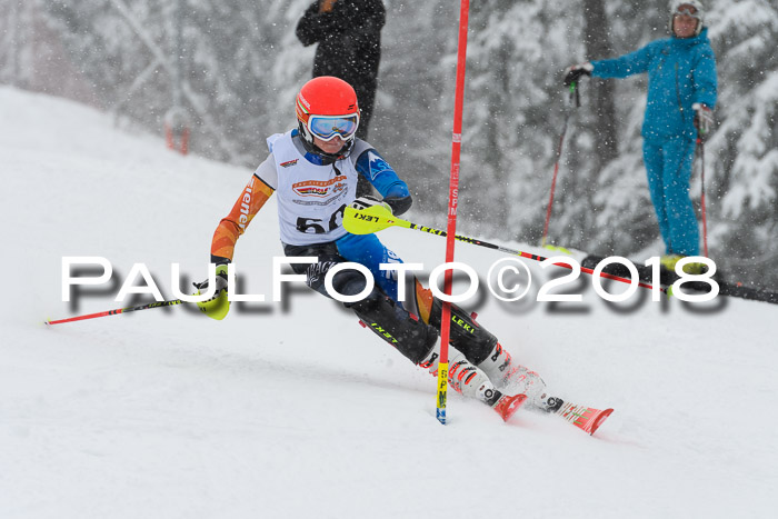 DSV Dt. Schülercup U14 SL 20.01.2018