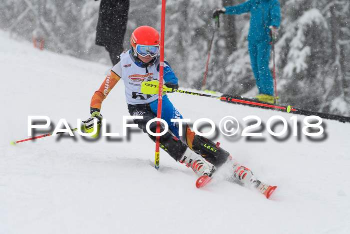 DSV Dt. Schülercup U14 SL 20.01.2018